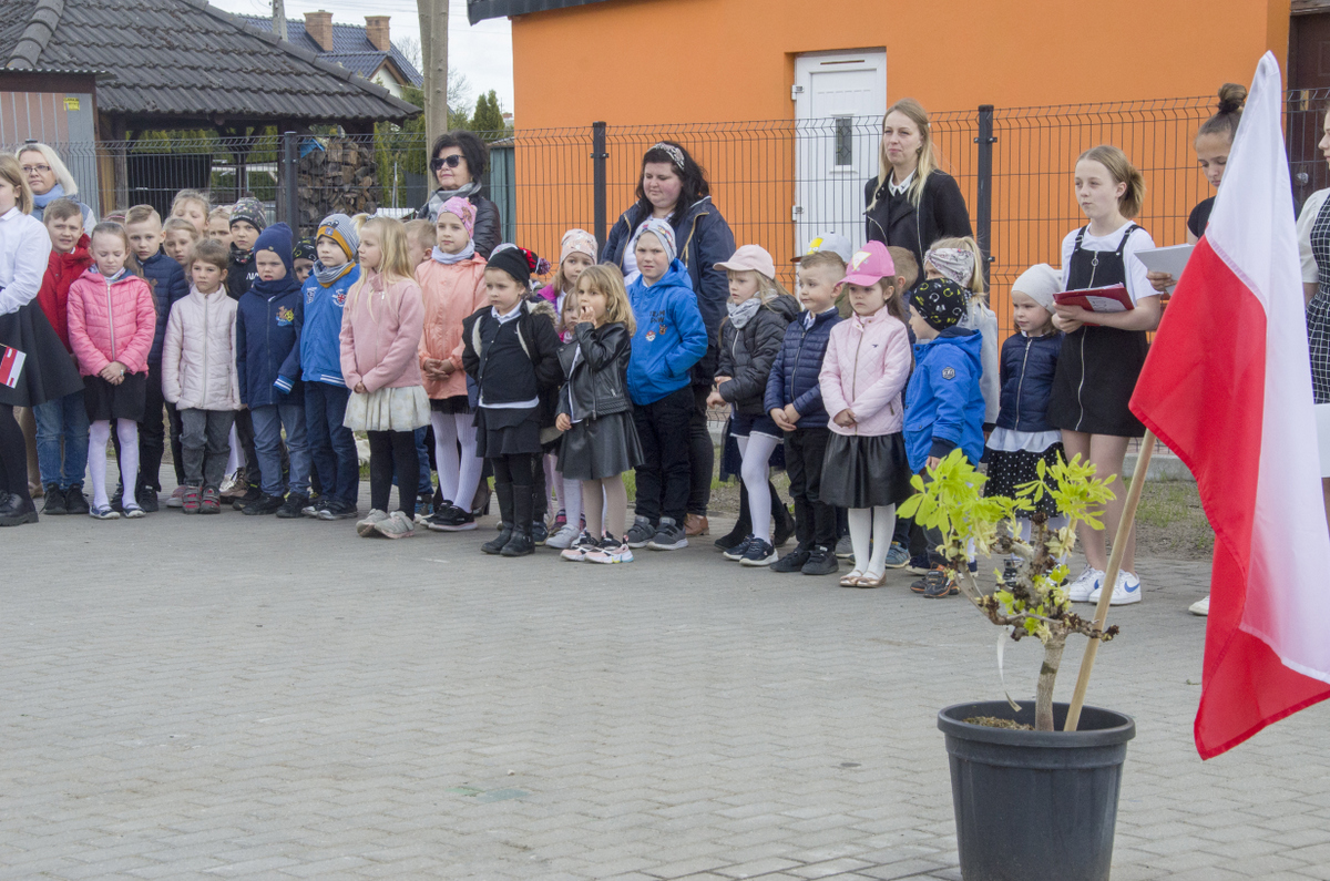 Zasadzenie drzewka Grześ przy SP w Łapalicach