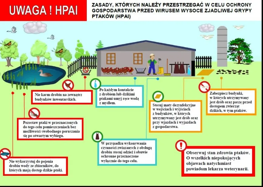 Plansza inspektoratu weterynarii o rozszerzaniu się wirusa ptasiej grypy