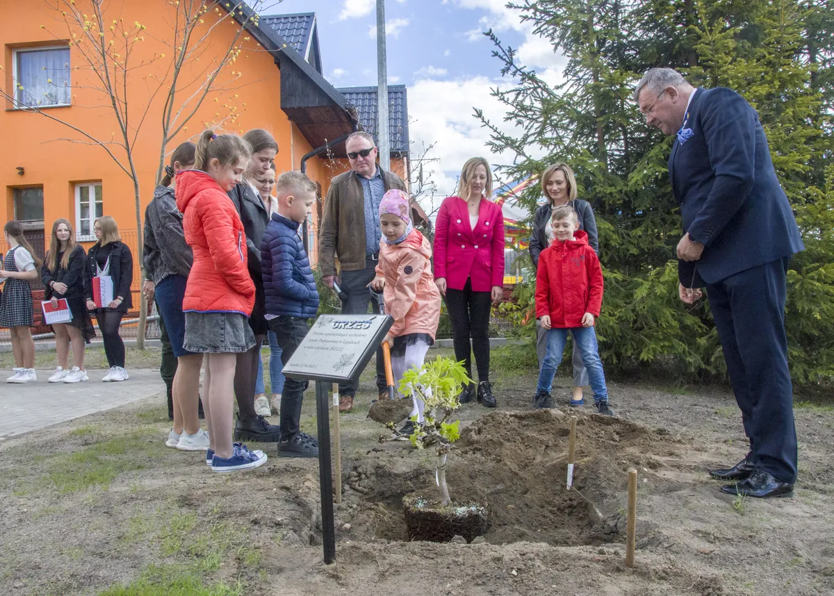 Zasadzenie drzewka Grześ przy SP w Łapalicach