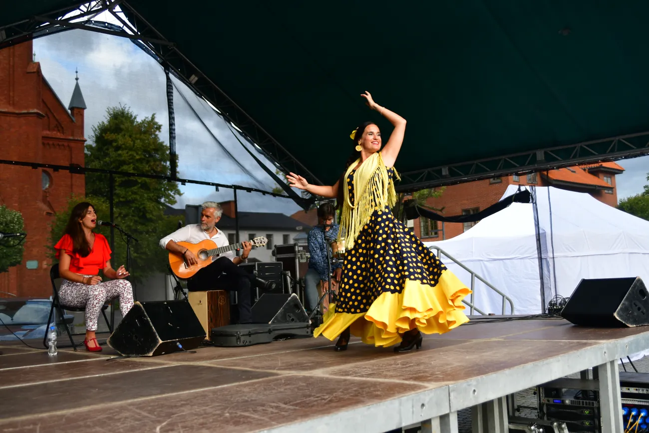 koncert viva flamenco